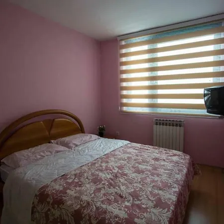 Ismeta Mujezinovica 40